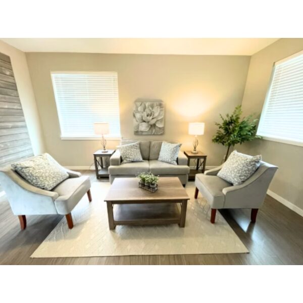 Furniture Rental